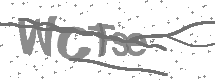 visual captcha